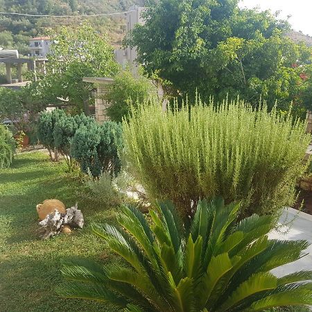 Spyridoula'S Guest House Himare Ngoại thất bức ảnh